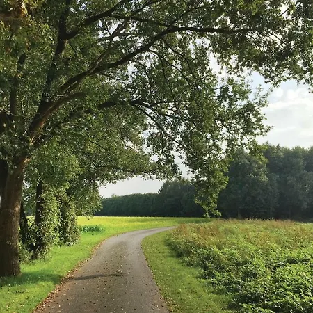 Tatil Evi 4 Bedroom Lovely In Neede