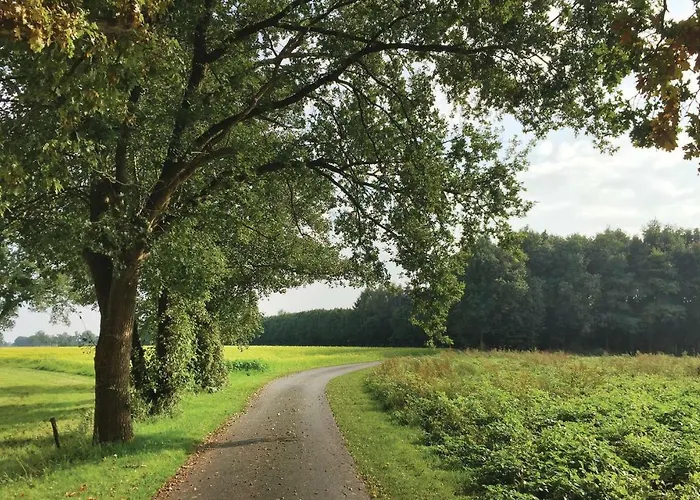 Semesterbostad 4 Bedroom Lovely In Neede