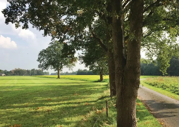 4 Bedroom Lovely In Neede